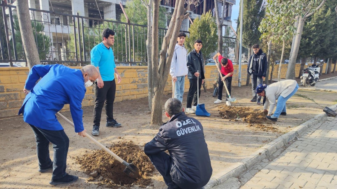 Faliyet Haftası Kamsamında Okulumuzda Ağaç Ekimi Gerçekleştirildi